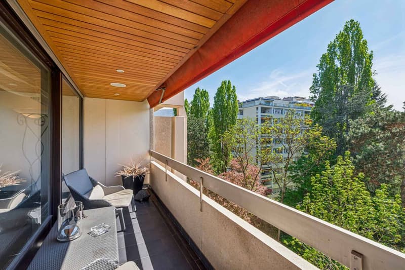 En exclusivité ! Bel appartement traversant en étage élevé (3)