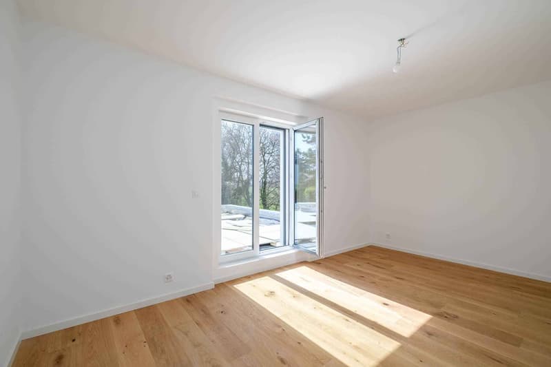 Magnifique villa individuelle rénovée aux normes HPE (6)