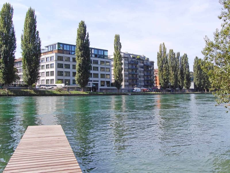 Magnifique appartement de style loft au centre-ville (7)