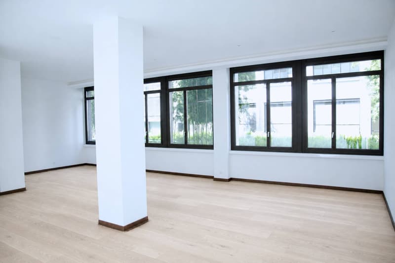 Magnifique appartement de style loft au centre-ville (4)