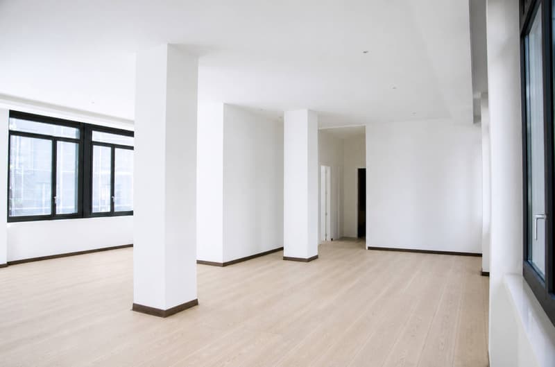 Magnifique appartement de style loft au centre-ville (3)