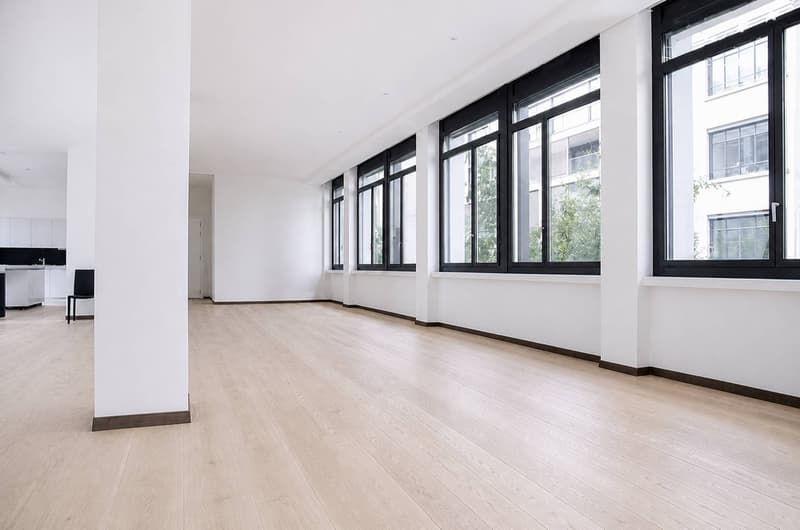 Magnifique appartement de style loft au centre-ville (2)