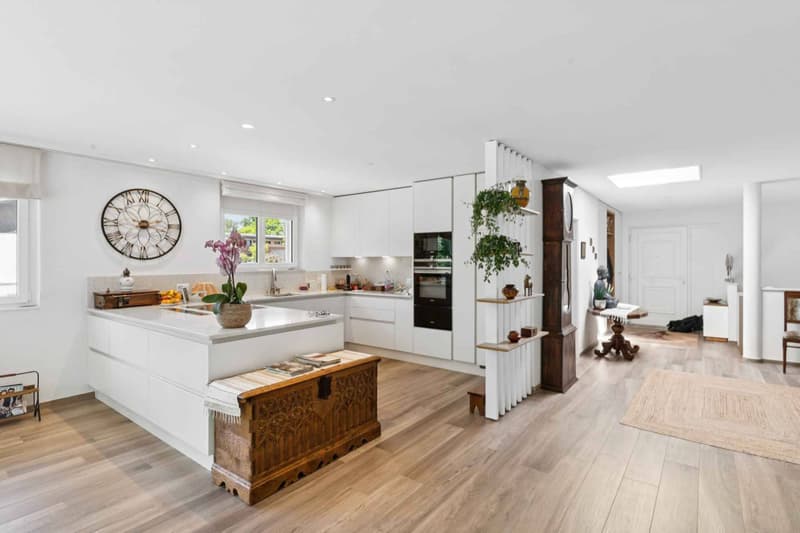 En exclusivité ! Immeuble mixte divisé en deux logements de plain-pied (2)