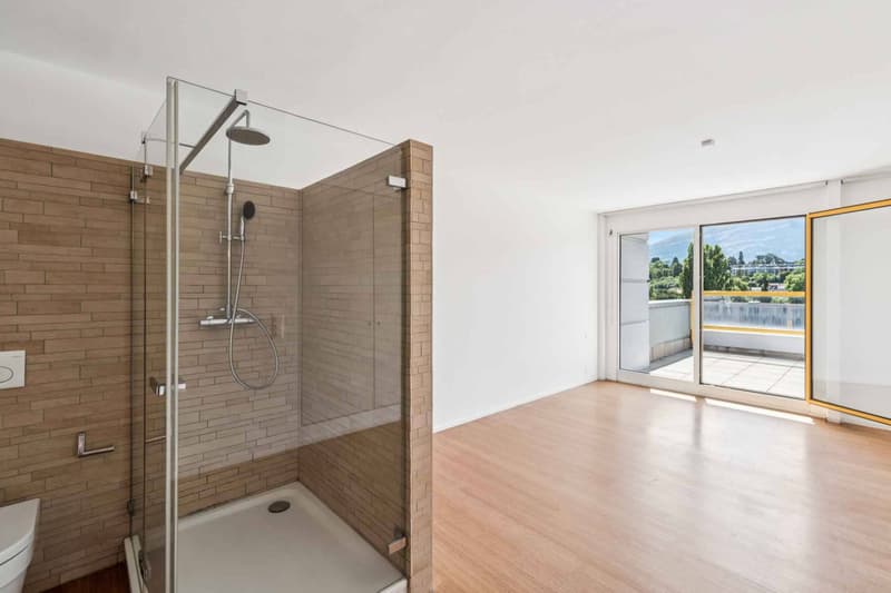 EN EXCLUSIVITÉ ! Magnifique loft en attique de 4 pièces avec terrasse de plus de 80 m² (7)