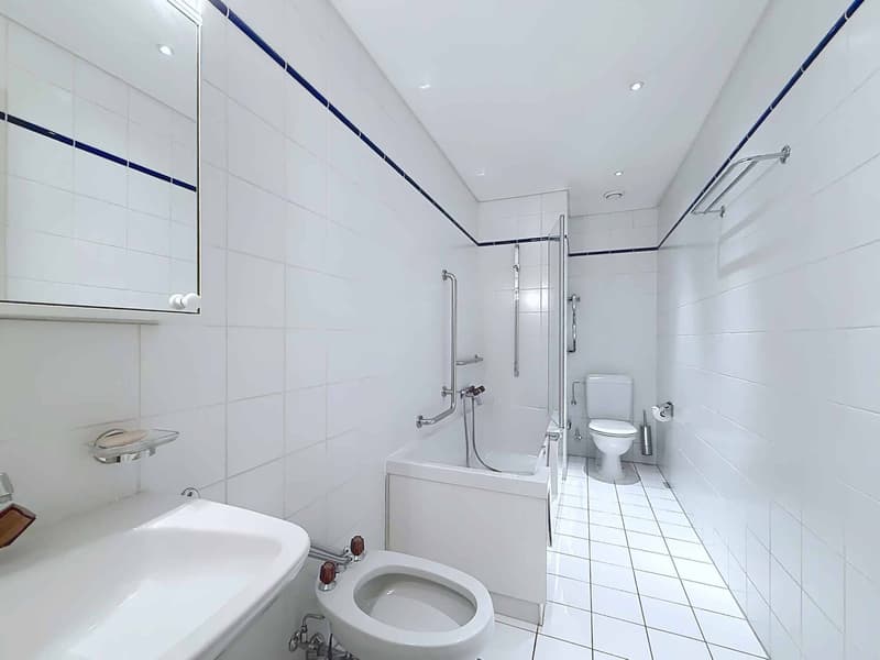 Superbe appartement traversant de 5 pièces à Florissant (11)