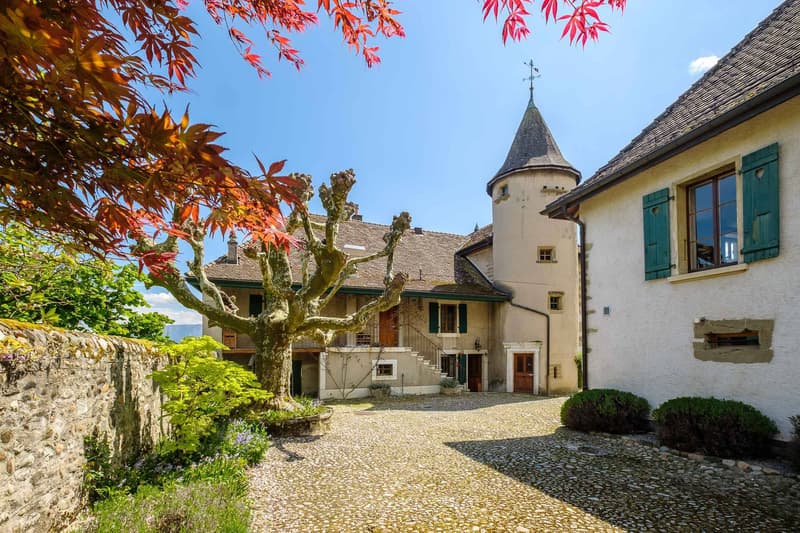 Le château de Bourdigny (12)