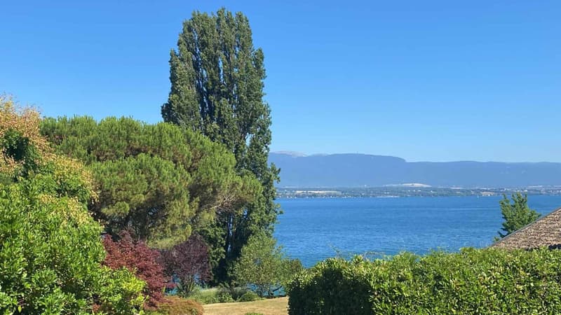 Villa d'architecte avec belle vue et accès privatif au lac (1)