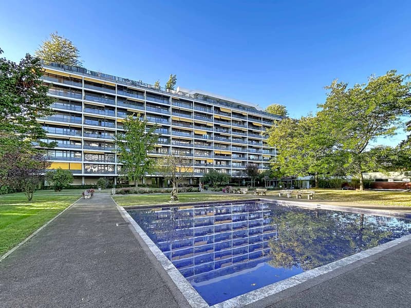 Budé- Vaste appartement de 7 pièces au dernier étage (9)