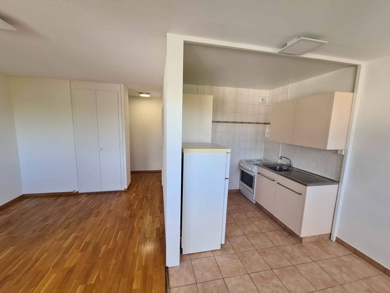 EN EXCLUSIVITE - Agréable 2 pièces au cur du village (3)