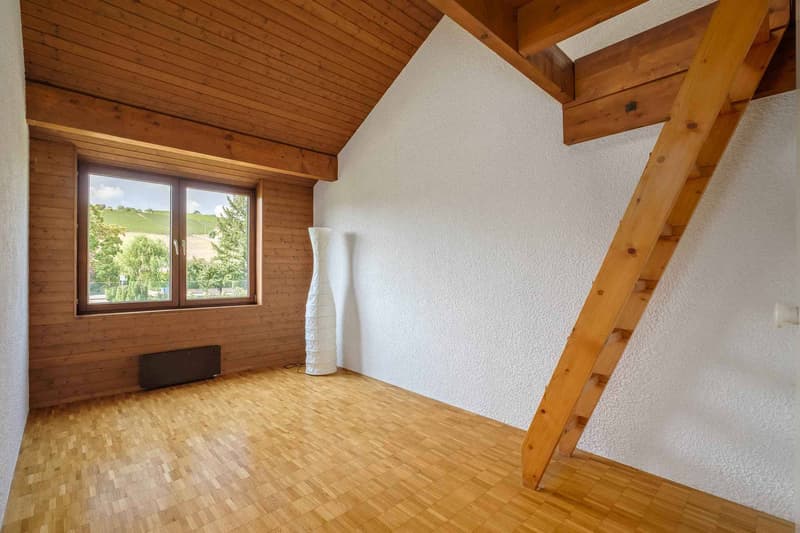 En exclusivité - Charmante et spacieuse villa familiale à Lully (10)
