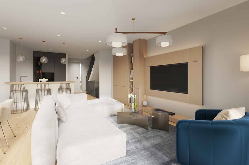 Villa HPE neuve avec jardin privé - Lot B (1)