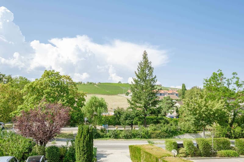 En exclusivité - Charmante et spacieuse villa familiale à Lully (13)