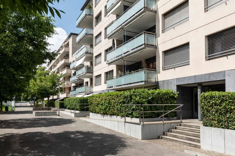 Bel appartement traversant de 5 pièces avec terrasse, immeuble MINERGIE (11)