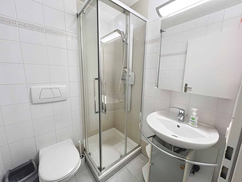 Agréable appartement lumineux avec duplex (6)