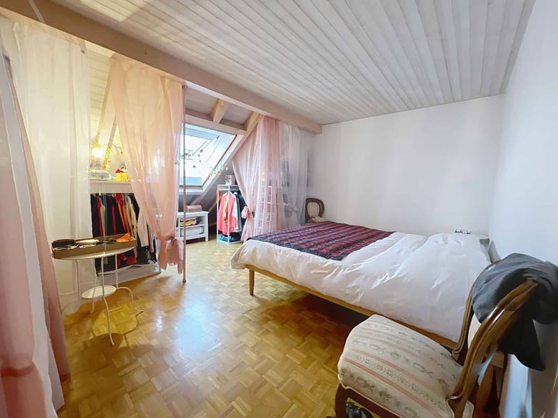 Agréable appartement lumineux avec duplex (4)
