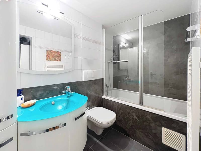Agréable appartement lumineux avec duplex (7)