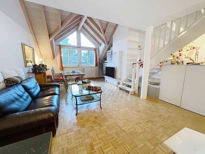 Agréable appartement lumineux avec duplex (2)