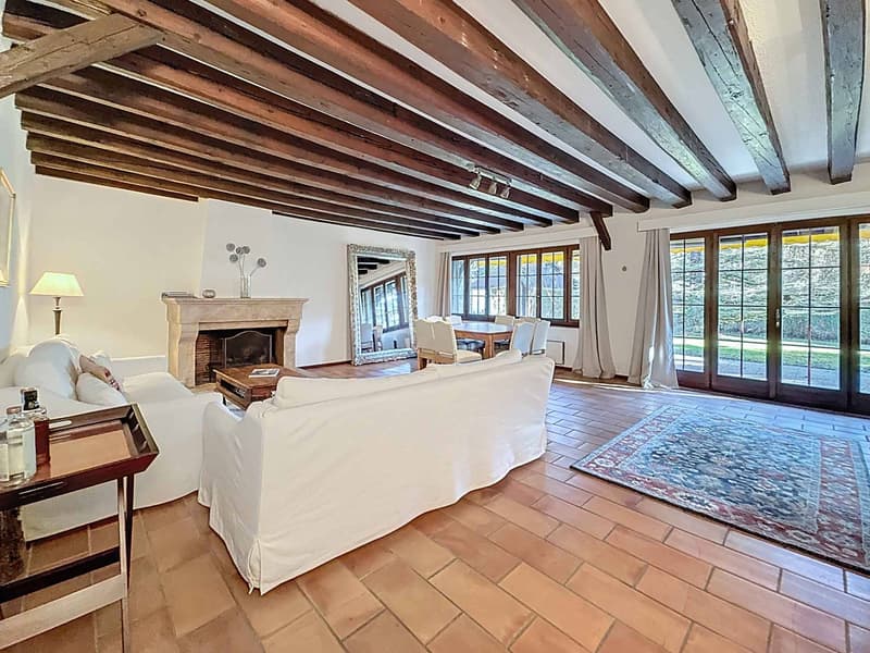 CO-EXCLUSIVITE ! Magnifique propriété de caractère proche de Nyon (3)
