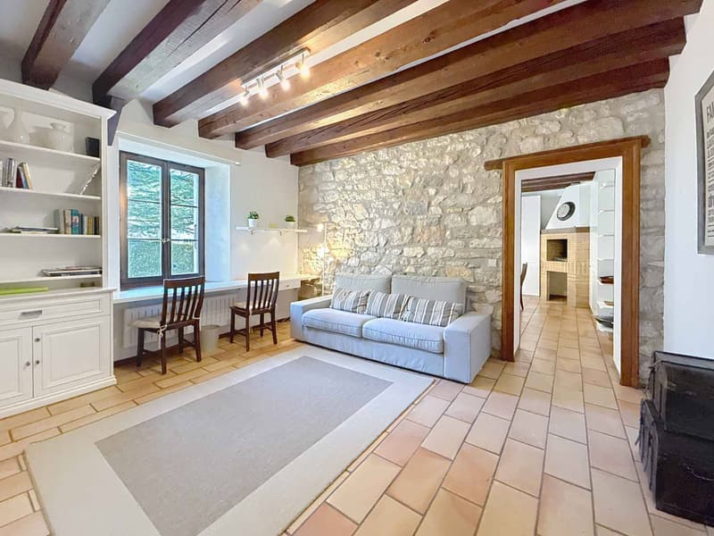 CO-EXCLUSIVITE ! Magnifique propriété de caractère proche de Nyon (5)