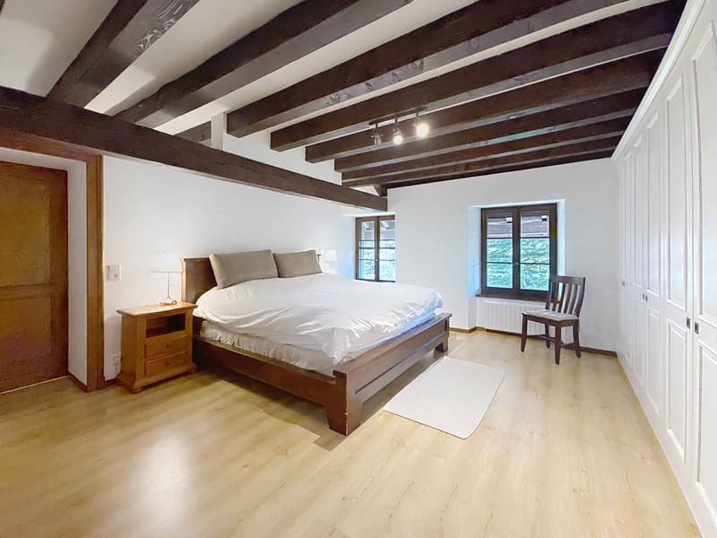 CO-EXCLUSIVITE ! Magnifique propriété de caractère proche de Nyon (8)