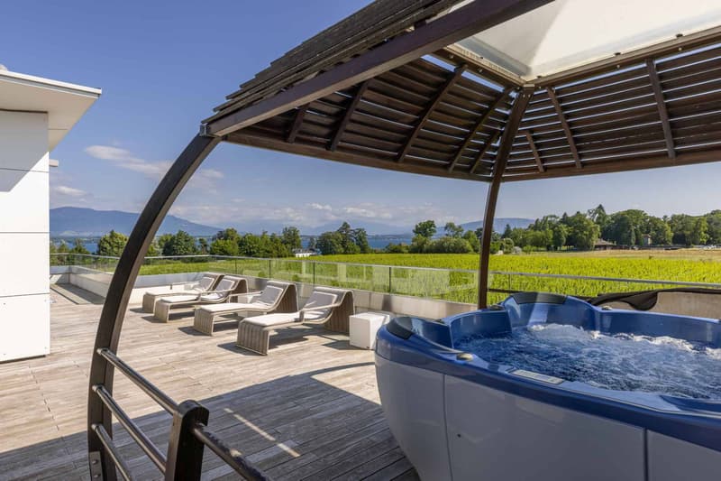 Magnifique hôtel particulier avec des prestations de haut standing (12)