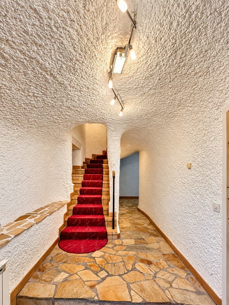 Maison de caractère au cur d'Eysins (9)
