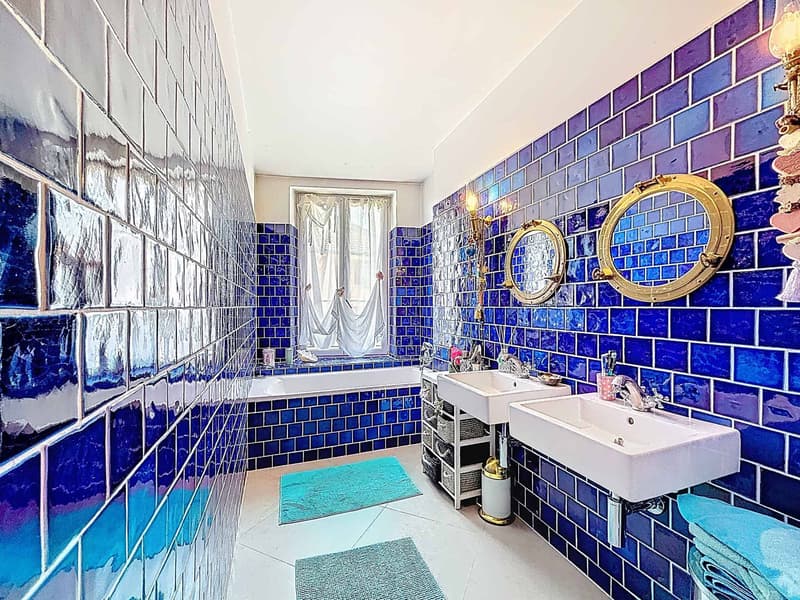 Coup de coeur - Magnifique appartement lumineux (8)