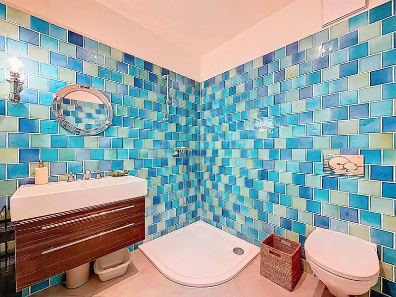 Coup de coeur - Magnifique appartement lumineux (9)