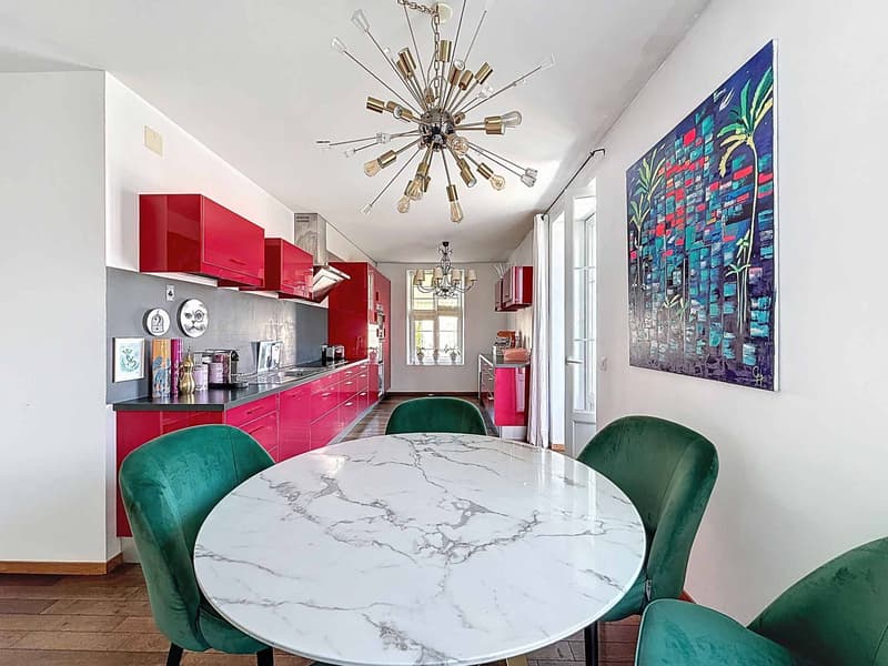 Coup de coeur - Magnifique appartement lumineux (4)