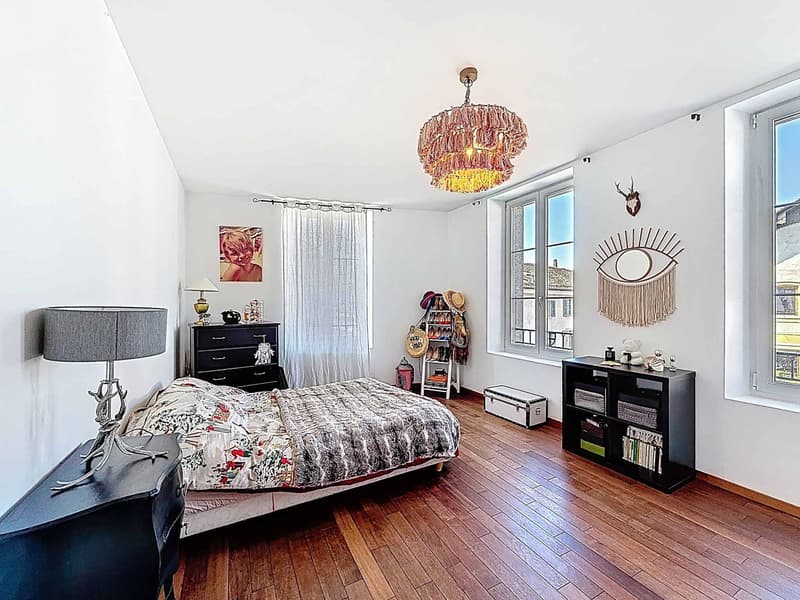 Coup de coeur - Magnifique appartement lumineux (6)