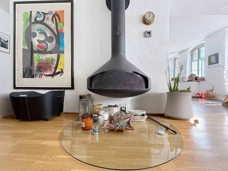 Charmant appartement de 3,5 pièces avec jardin (4)
