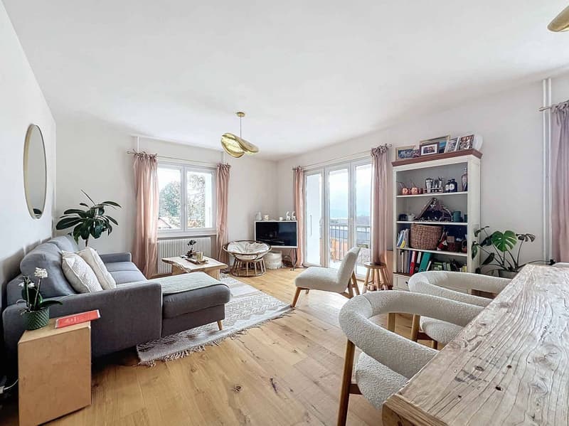 Charmant appartement de 3,5 pièces entièrement rénové (4)