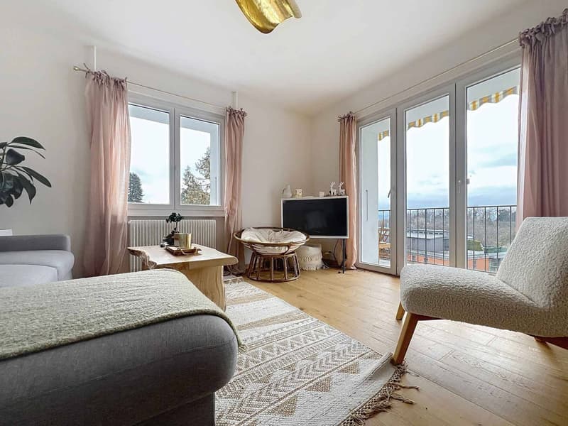 Charmant appartement de 3,5 pièces entièrement rénové (5)