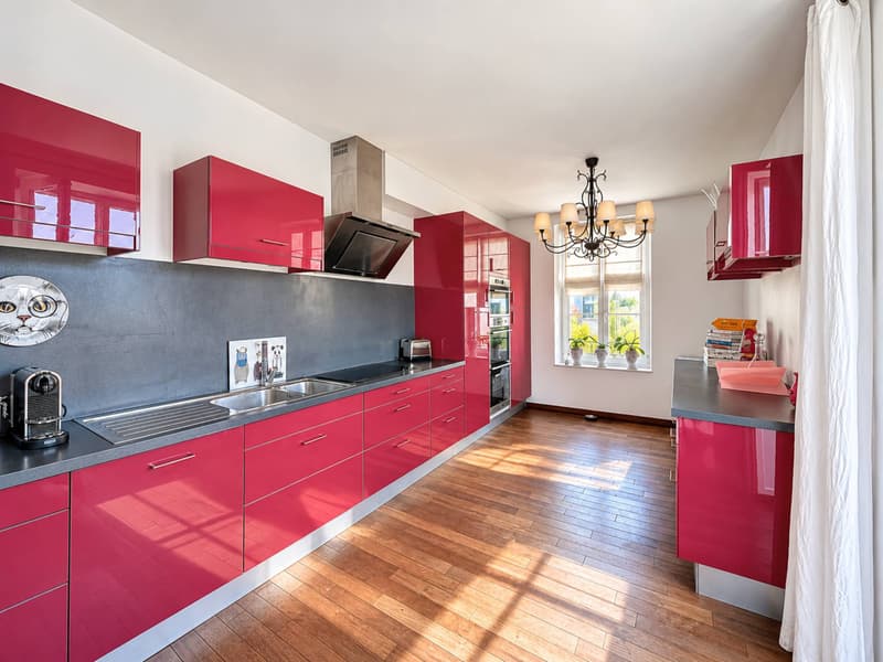 Coup de coeur - Magnifique appartement lumineux (5)