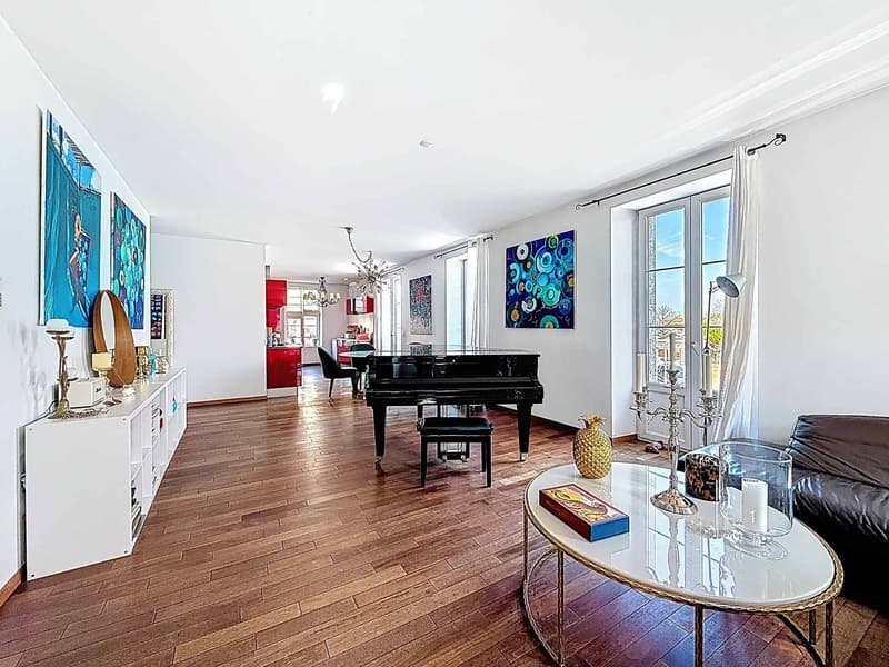 Coup de coeur - Magnifique appartement lumineux (2)