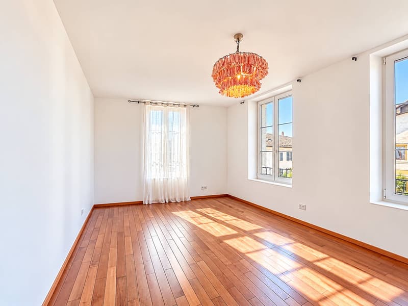 Coup de coeur - Magnifique appartement lumineux (6)