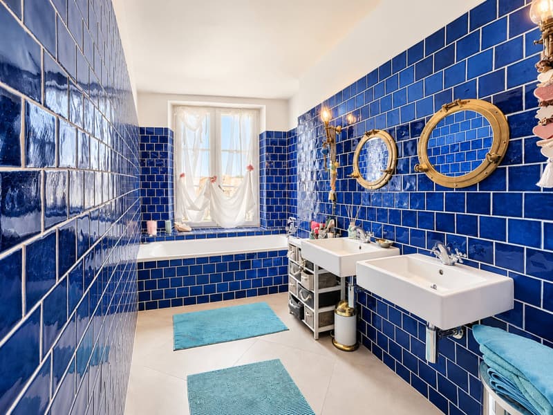 Coup de coeur - Magnifique appartement lumineux (9)