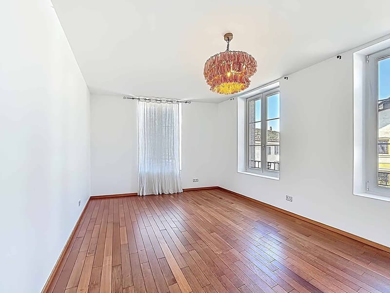 Coup de coeur - Magnifique appartement lumineux (5)
