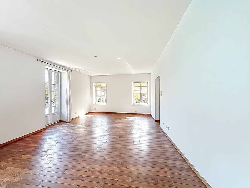 Coup de coeur - Magnifique appartement lumineux (3)