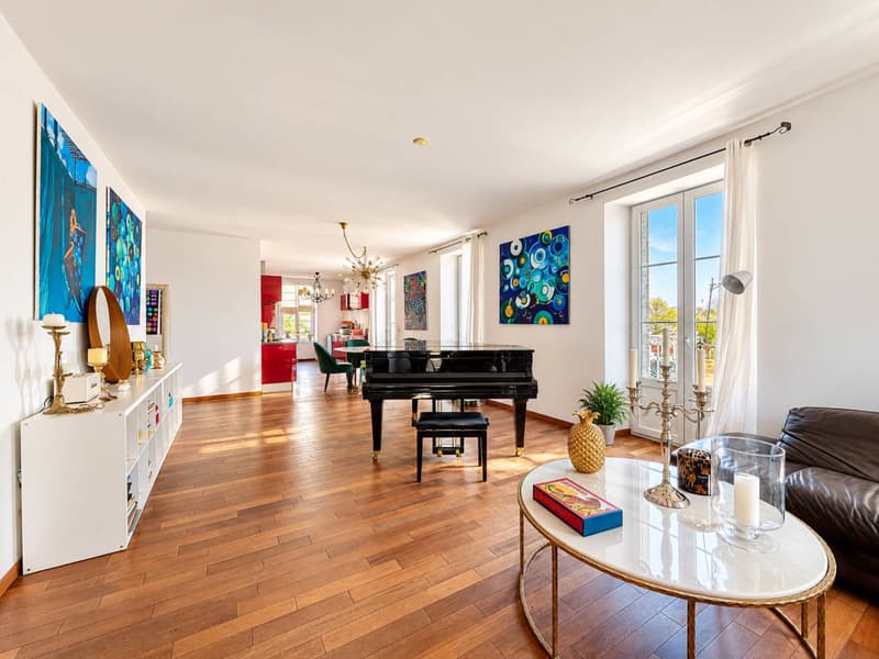 Coup de coeur - Magnifique appartement lumineux (3)