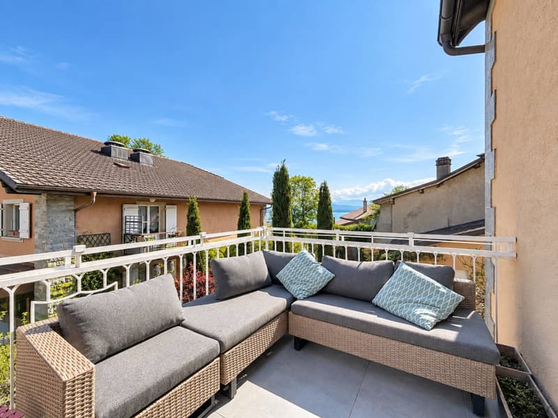 Coup de coeur - Magnifique appartement lumineux (10)