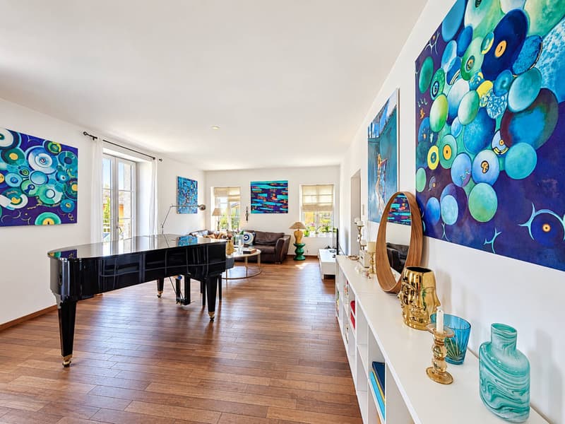 Coup de coeur - Magnifique appartement lumineux (4)