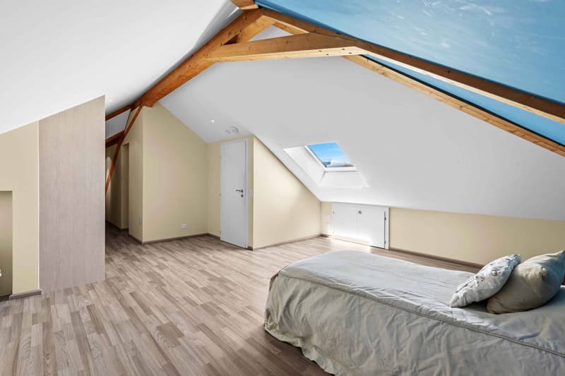 Magnifique villa individuelle à deux pas de Nyon (11)