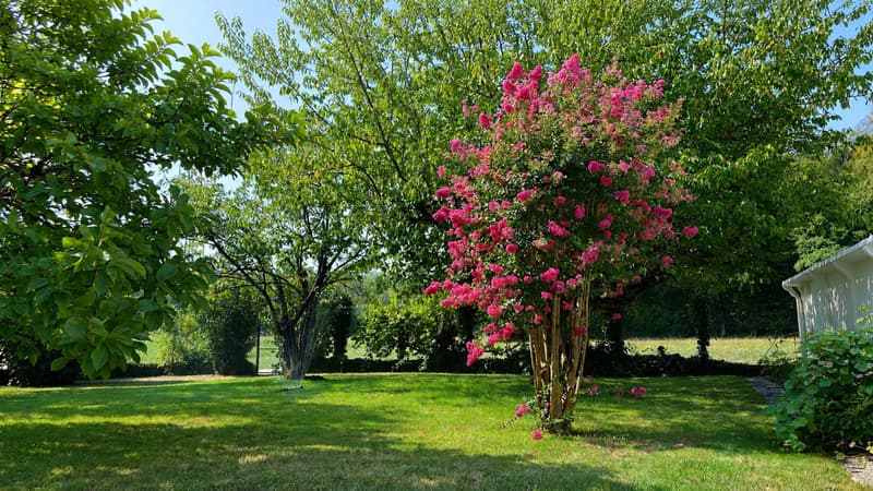 Très belle propriété de charme en pleine nature - En Exclusivité (9)