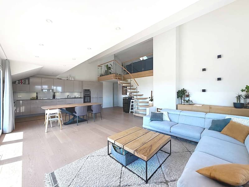 EXCLUSIVITE - Spacieux et lumineux appartement de 4,5 pièces + mezzanine (1)