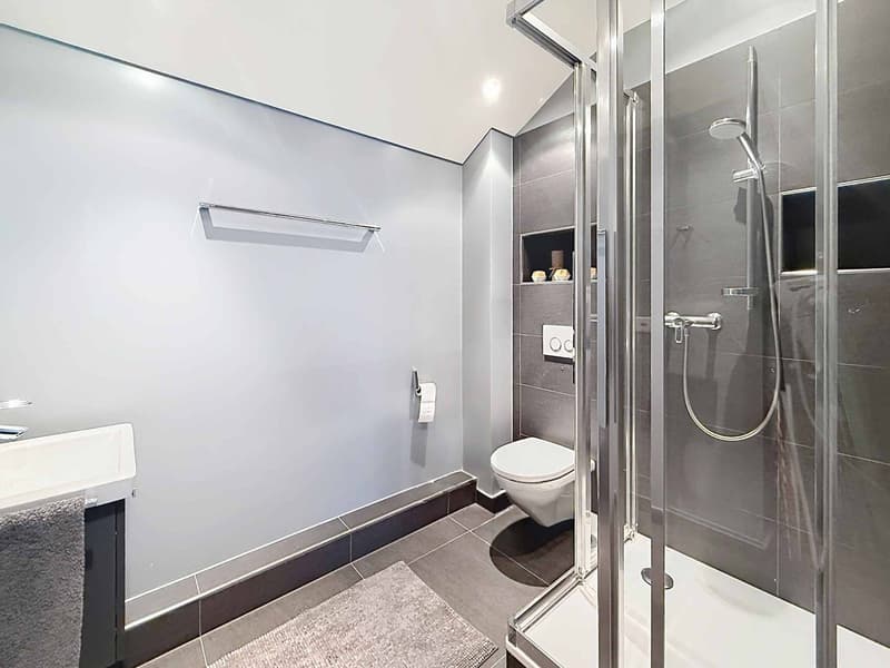 EXCLUSIVITE - Spacieux et lumineux appartement de 4,5 pièces + mezzanine (10)