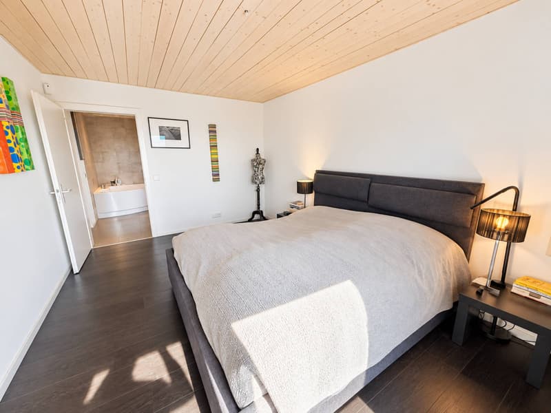 Magnifique villa individuelle (8)