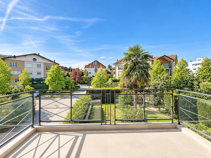 Très bel appartement en duplex (4)