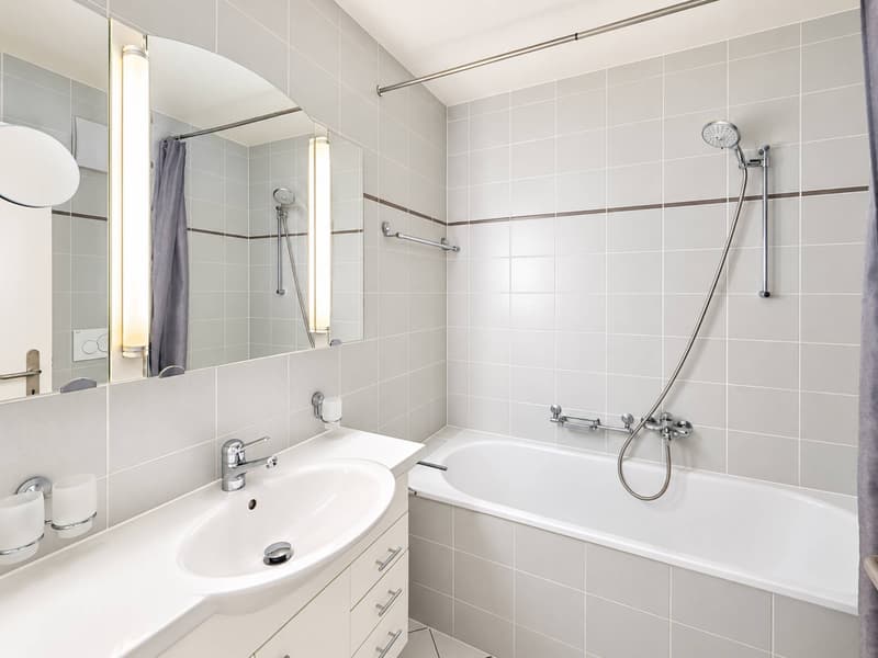 Très bel appartement en duplex (9)