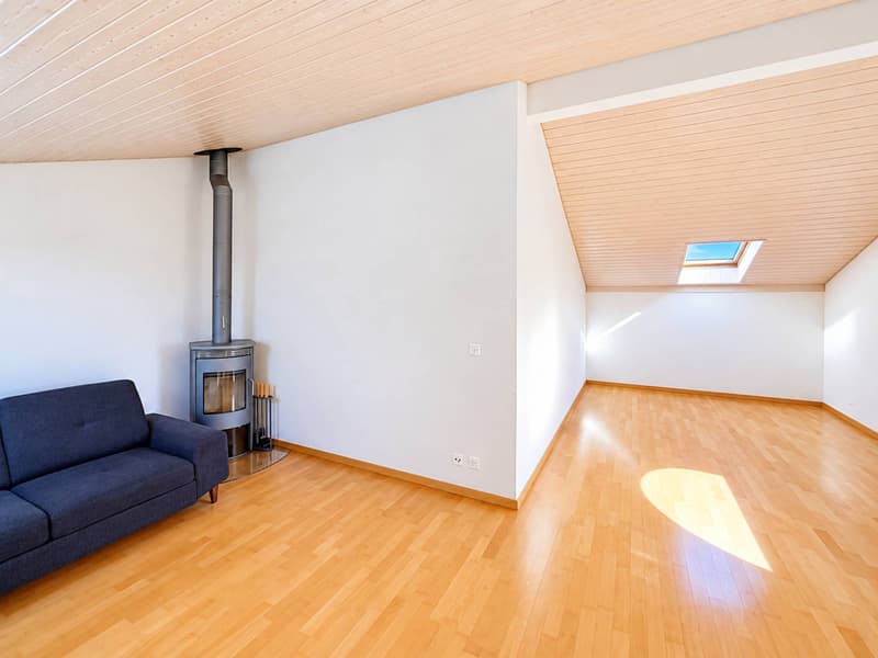 Très bel appartement en duplex (13)